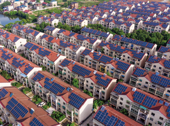 @所有人 低碳环保还能增收，快来打卡&ldquo;浙&rdquo;里闪光点