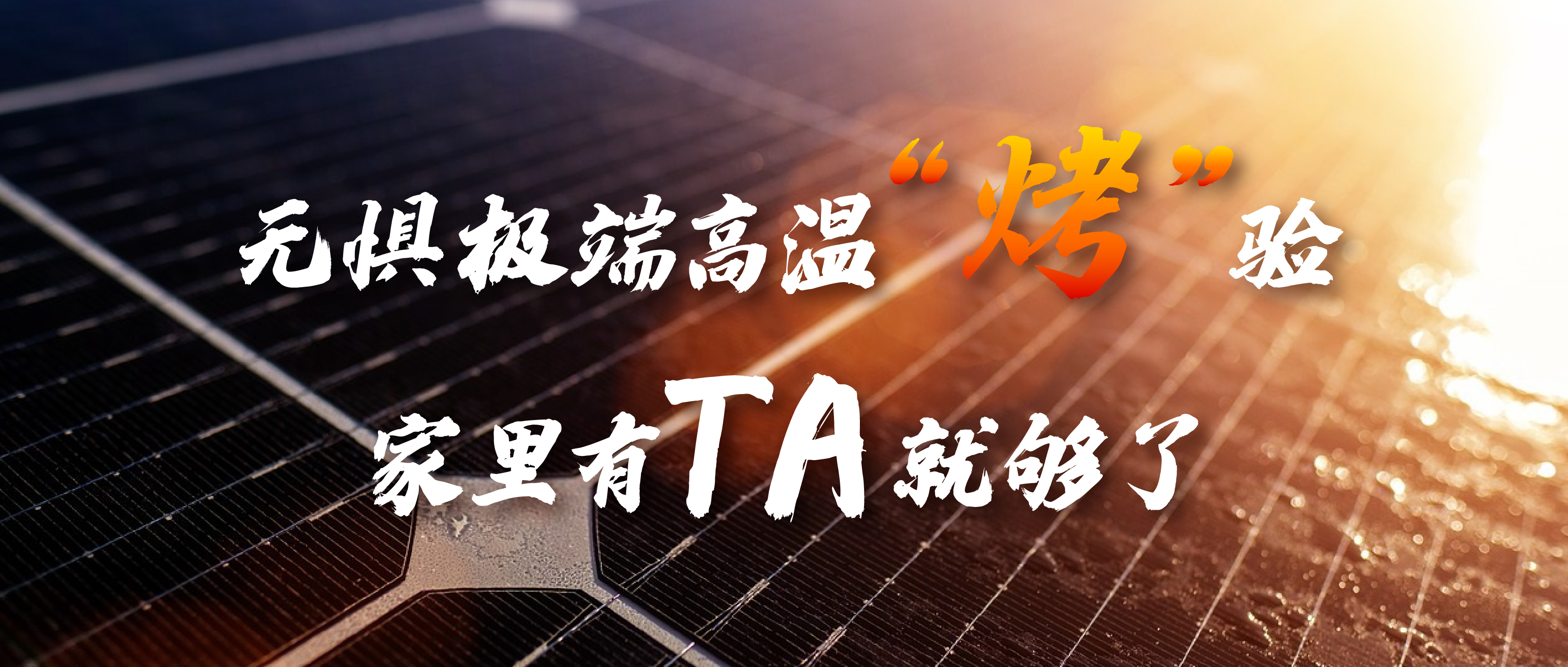 无惧极端高温&ldquo;烤&rdquo;验，家里有TA就够了