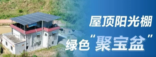 中国新闻网：正泰安能阳光棚成广东龙川用户&ldquo;聚宝盆&rdquo;