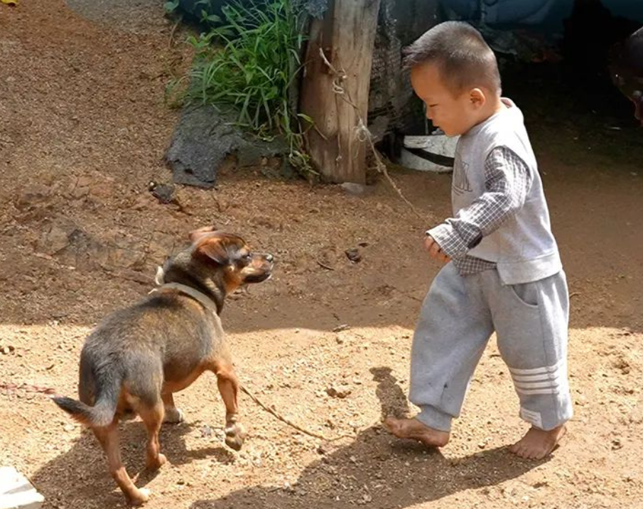 屋顶看乡村 | 幼有所长！&ldquo;沐光庭&rdquo;点亮留守儿童阳光未来