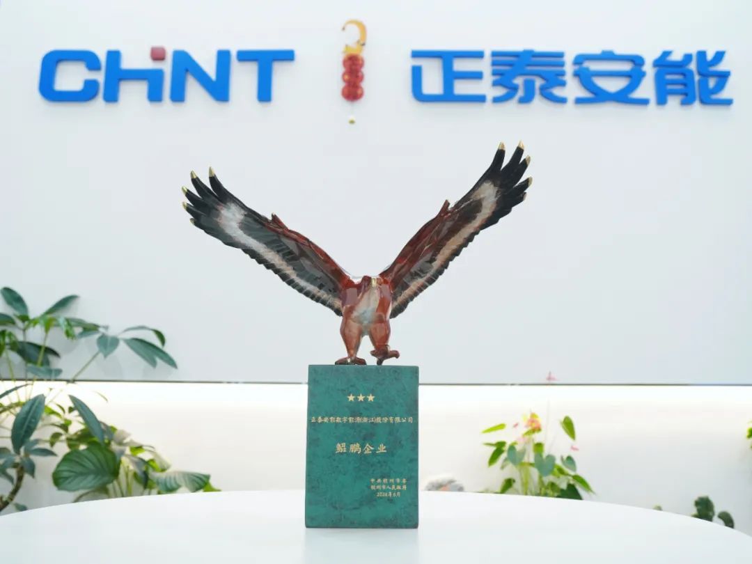 &ldquo;泰&rdquo;赞了！正泰安能再获&ldquo;鲲鹏企业&rdquo;荣誉称号